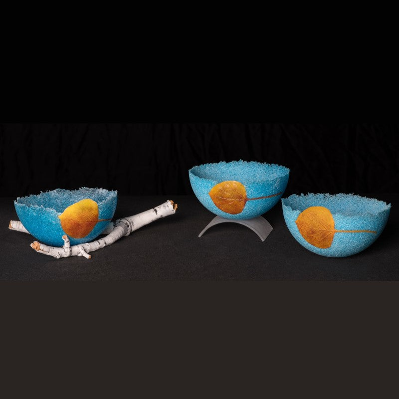 Artist Course - Evelyn Gottschall Baker - Glass Leaves with Pate de Verre Bowl