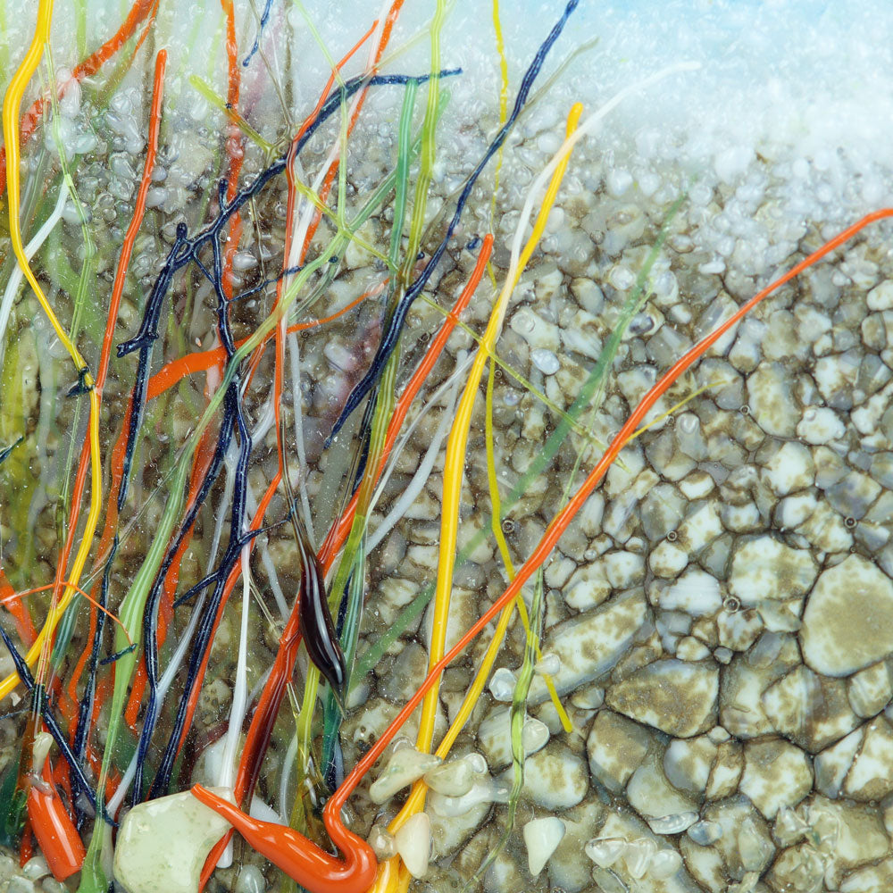 Projects - Beach Landscape