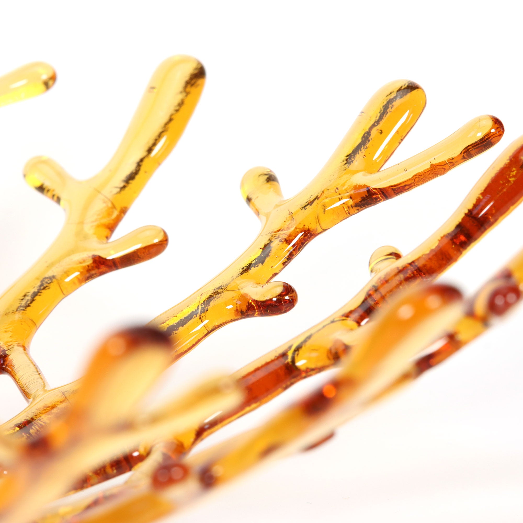 Project - All About Tints