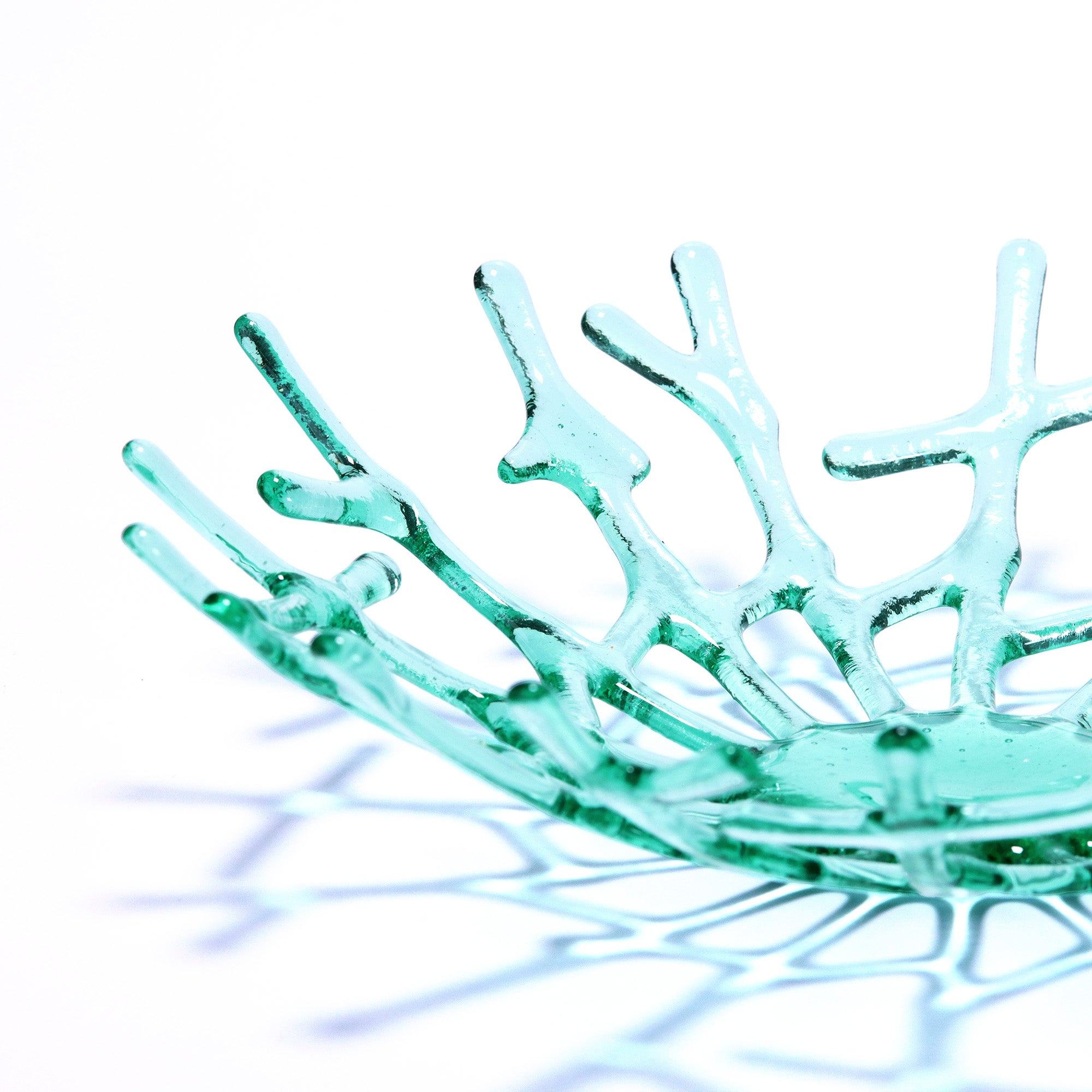 Project - All About Tints