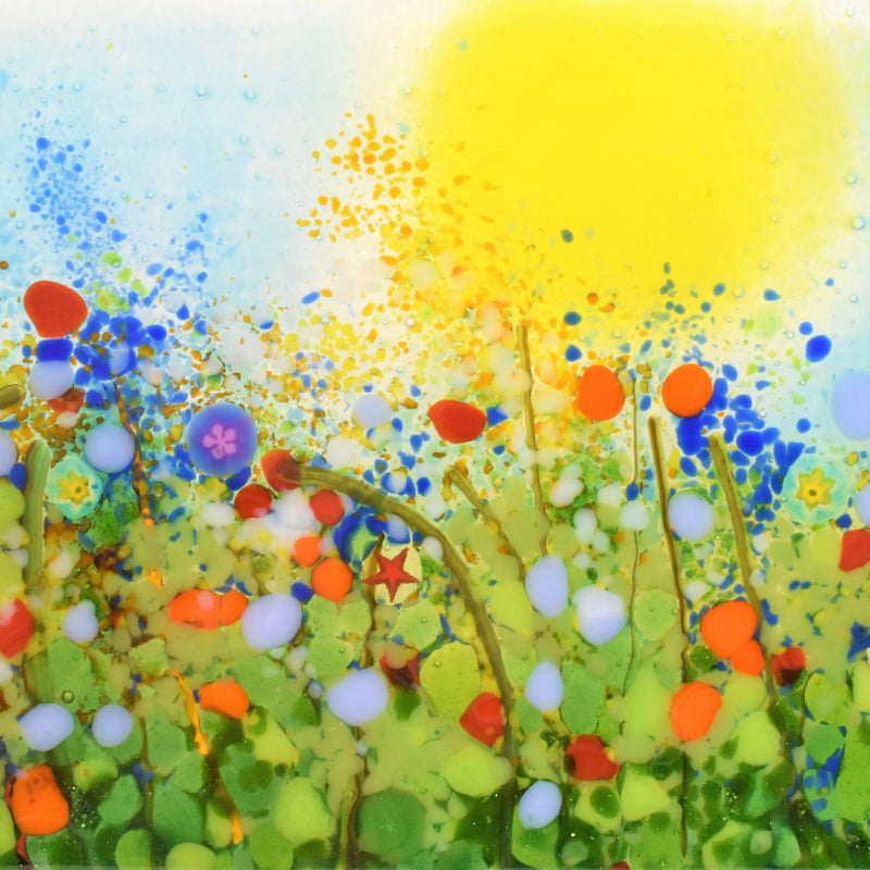 Taster Session: Flower Meadows - Tuesday 12th August 10AM - 1PM