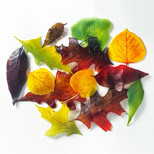 Artist Course - Evelyn Gottschall Baker - Glass Leaves with Pate de Verre Bowl