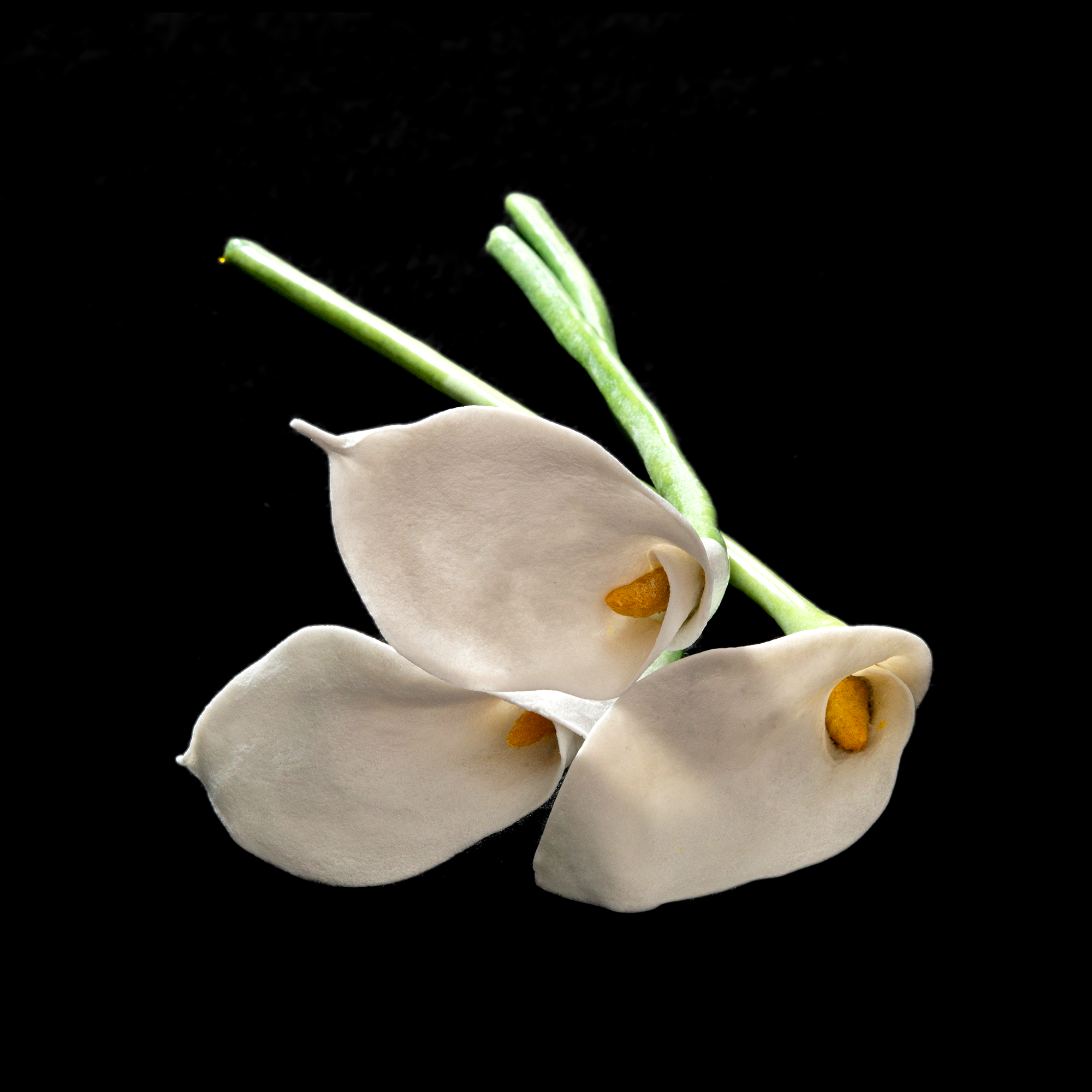 Evelyn Gottschall Baker - Developing New Approaches to Pâte de Verre  - Glass Talk - 10th July 2026 5:30PM