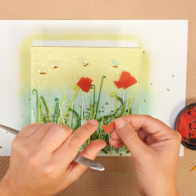 Taster Session: Flower Meadows - Tuesday 12th August 10AM - 1PM