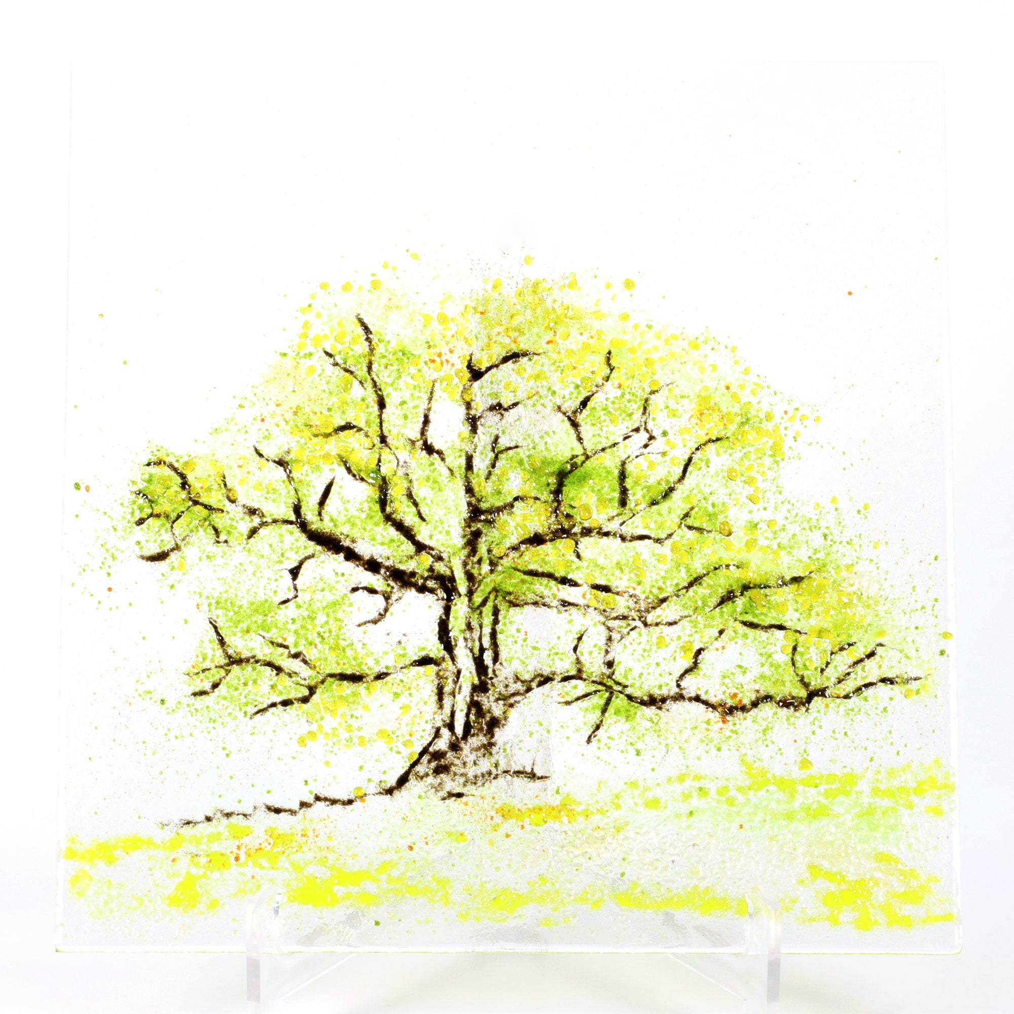 Project - Drawing with Powders