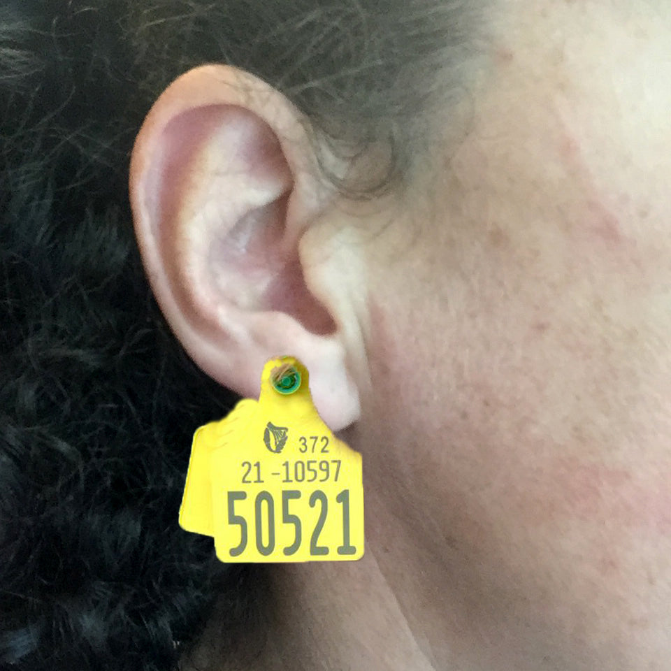 Áine Ryan - Glass, the Body and Rural Feminist Practice - Glass Talk - 7th May 2026 5:30PM